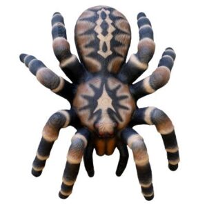 Cel łuczniczy 3D Leitold Tarantula