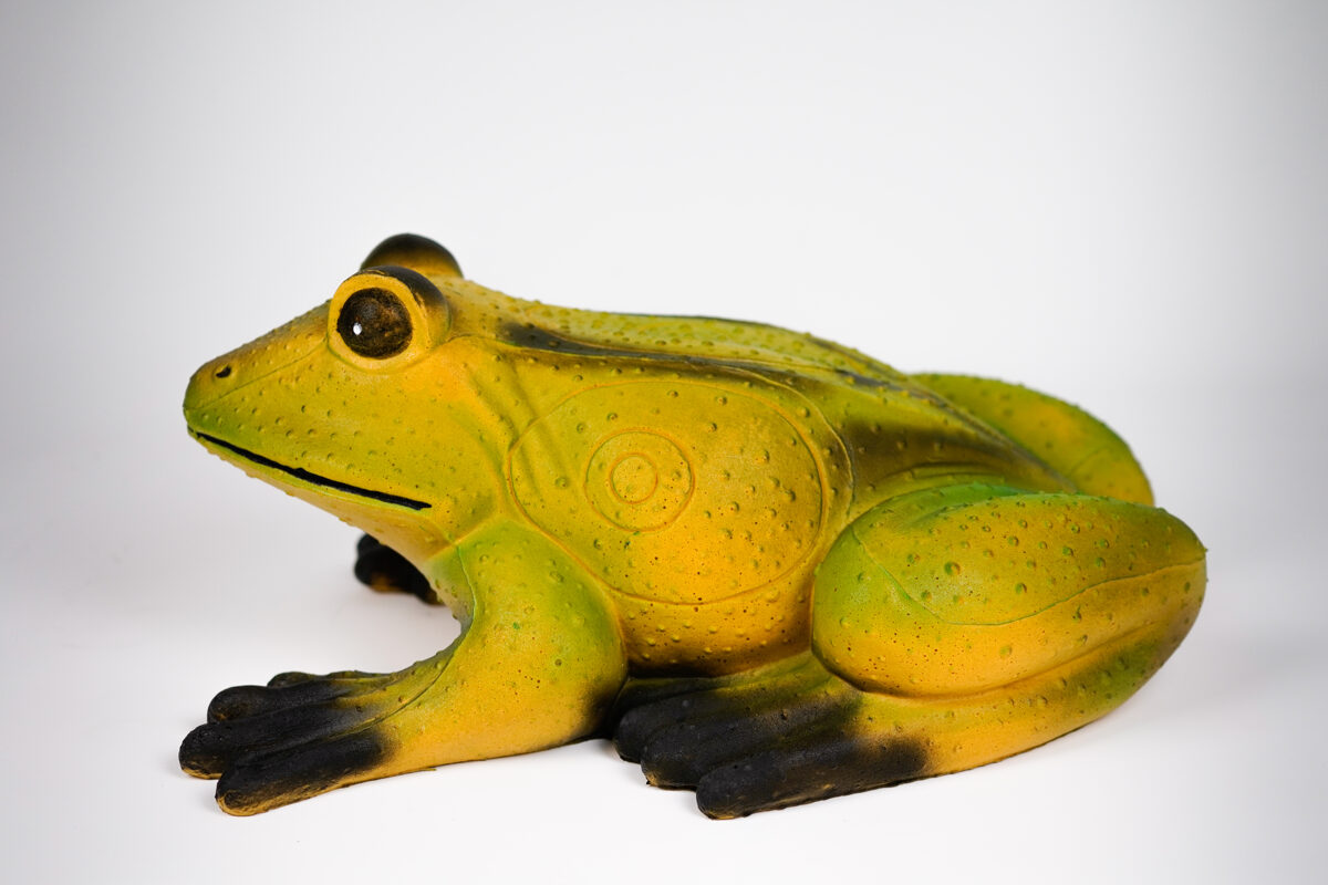 Cel łuczniczy 3D Archery Animals Żaba - obrazek 4