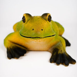 Cel łuczniczy 3D Archery Animals Żaba