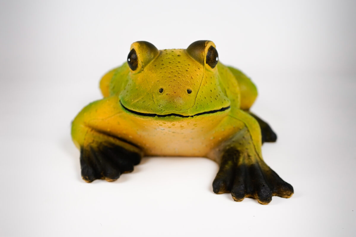 Cel łuczniczy 3D Archery Animals Żaba